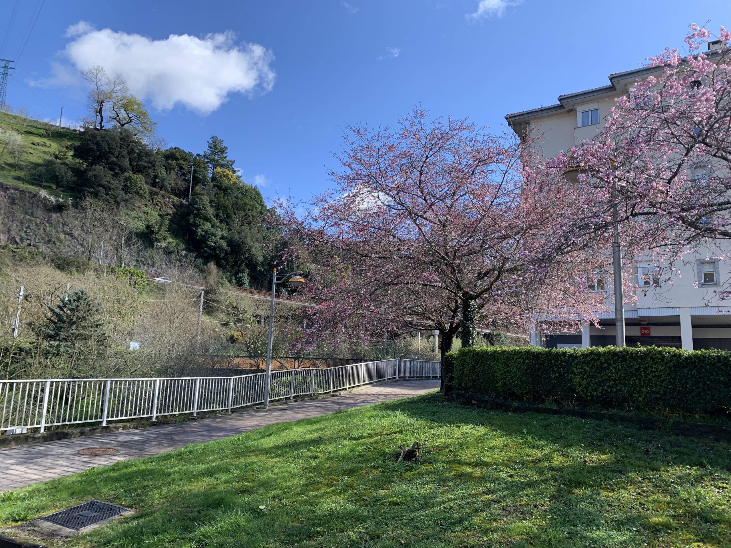 Scenic views in the Basque Country